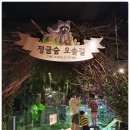 아이로비안경원 | 경주 여행 코스 아이들과 함께 가볼 만한 곳! 주렁주렁 경주 보문점 실내 동물원 할인 가격 주차장 안내...