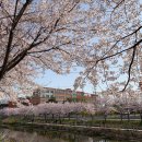 서운체육공원 (계양체육관) 이미지