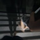 인동36길-8 | [260724~25]마음대로 되는게 없구만