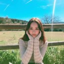 개예쁘다 이미지