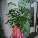 주식회사티엔티글로벌 네이버블로그