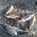 k3바다낚시터 이미지