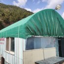 삼부자미나리 이미지