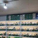 영통 홈플러스 앞 이미지