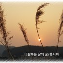 바람부는 날의 꿈 이미지