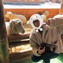 한우촌목장 이미지