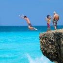 비타민마트 이미지