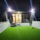 러닝독 스테이 이미지