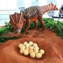 공룡알화석지방문자센터 이미지