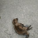 산정독정길 이미지