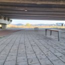 버드래미 이미지