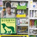 허동물약국 이미지