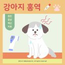 호계동물병원 이미지