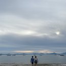 팰리스1470 이미지