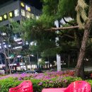 밀레니엄프라자주변 이미지