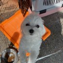 아리울주유소 이미지