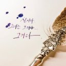 덕포자동차운전학원