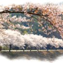 꿈꾸는웰빙 이미지