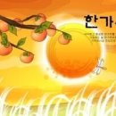 성훈세탁 이미지