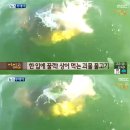 물 속 골리앗 이미지