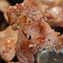 옛날흑돼지 이미지