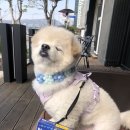 구구동물병원 이미지