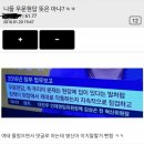 니들 우문현답 뜻은 아냐? 이미지