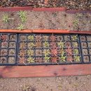 청석농장 이미지