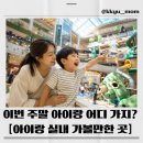 (주)알피스페이스 몸센터 | 주말 아이와 실내 가볼만한곳 서울 경기 실내 BEST 10, 더위 피해 하루종일 놀기