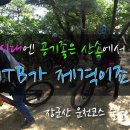 월매길 Daum카페