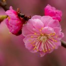 제20회 전국학생(초.중.고) 서예공모대회 개최 | 〔문학공모 모음〕2026년 4월 문학공모전 및 백일장 공모 마감순