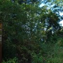 삼합리 마을회관 이미지