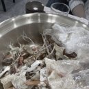 죽도회타운 이미지