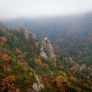 마노아(MANOAH) 이미지