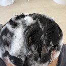 태후사랑 | 진주 두피관리 추천 태후사랑 충무공점 탈모관리 후기