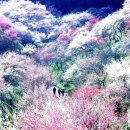 마중가는길 이미지