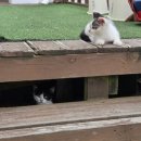 바닷길 풍경 | 250628 - 250629 몽산포 갯벌체험 : 체험과 노동 그사이 어딘가