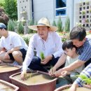 감자수북