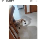 애터미안양모두모아센터 네이버블로그