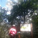 원주굽이길 1코스 배부른산길 이미지