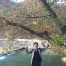 신오목 이미지