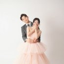 세미폭스 이미지