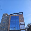 알프스하우스 | 충남 보령 빵빵빵하우스 대형카페 외각카페 베이커리카페 데이트 가족과 함께 내돈내산