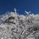 제 99차 정기산행 안내 _ 대관령~~~선자령눈꽃산행 이미지