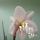 기분좋은날 이미지