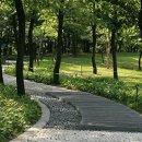 홀드핀칭 이미지