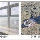모도리어촌체험휴양마을 이미지