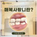 최동식치과의원 네이버블로그