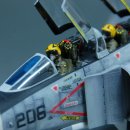 [Hasegawa 1/48] F-4J Phantom2 Jolly Rogers 이미지