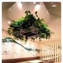 행복한 집 이미지